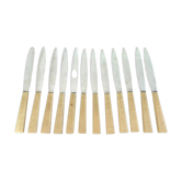 Series of 12 vintage table knives