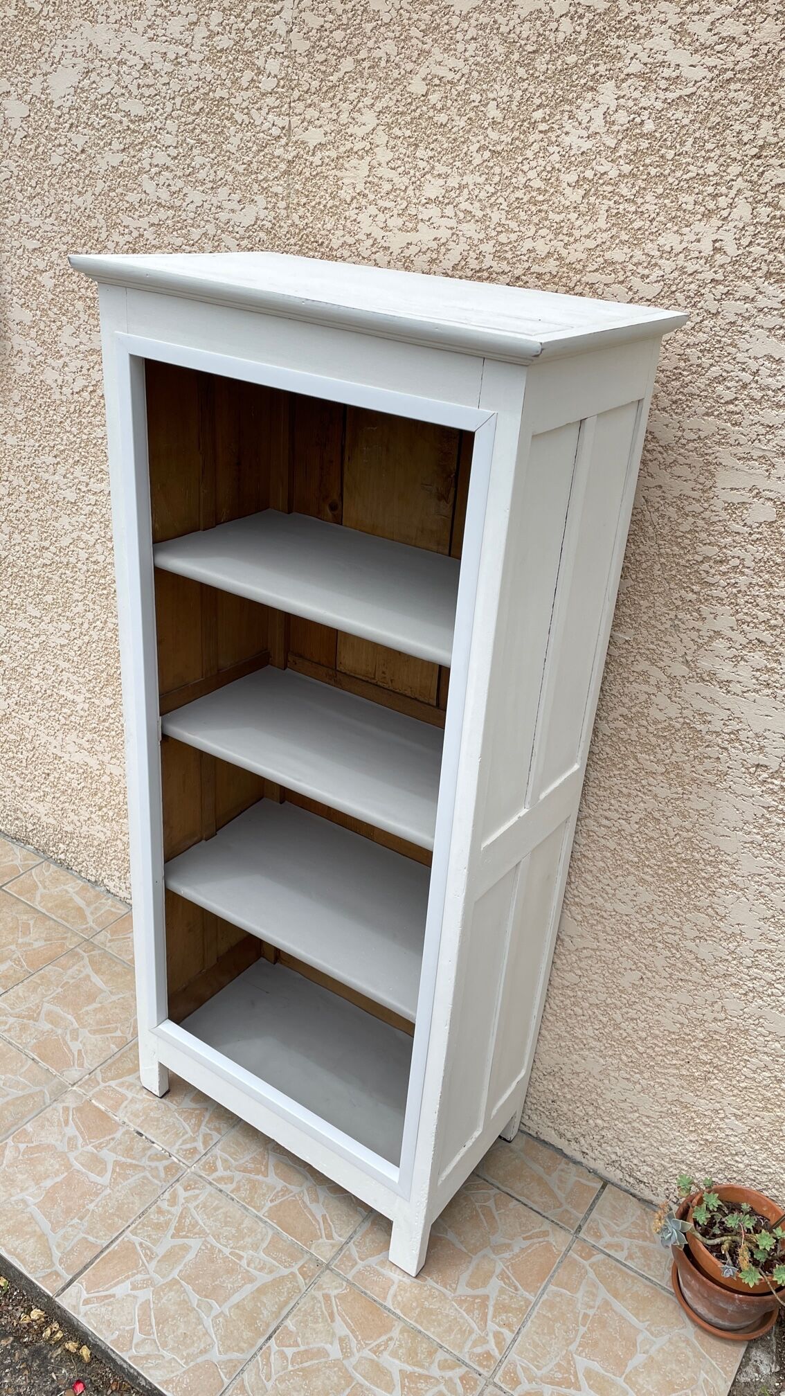 Vintage Parisian bookcase