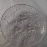 Glass cup