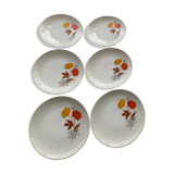 6 small porcelain plates and vintage orange and yellow flowers
