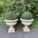 Paire de vases medicis et buis