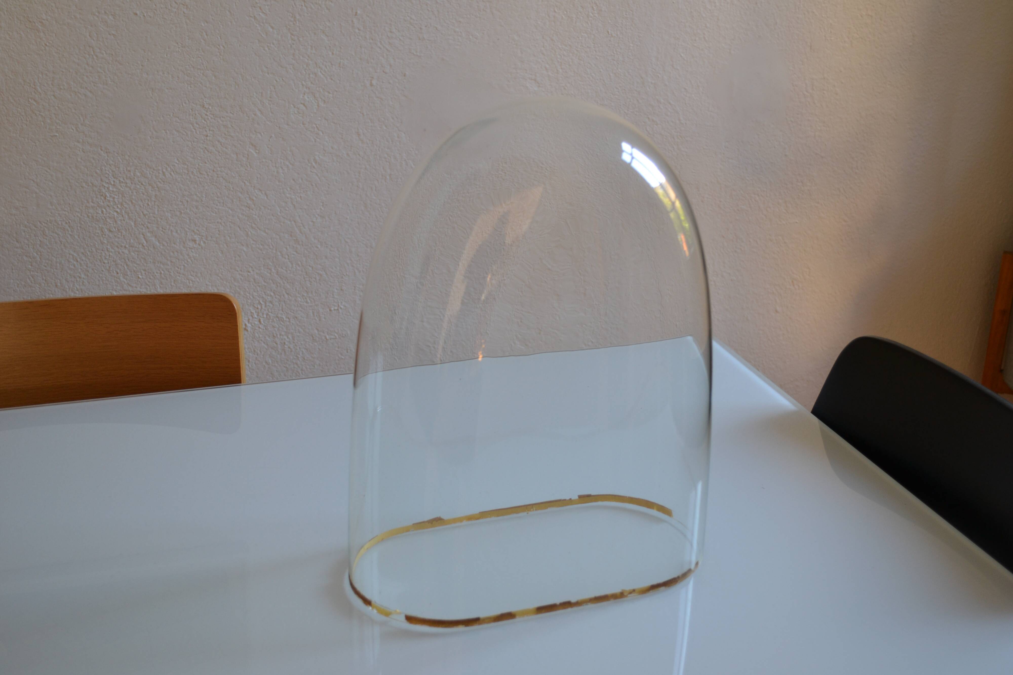 Old 19th century glass bridal globe