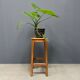 High oak stool from France