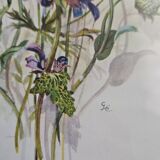 Lithograph bouquet of wild flowers in gilded frame