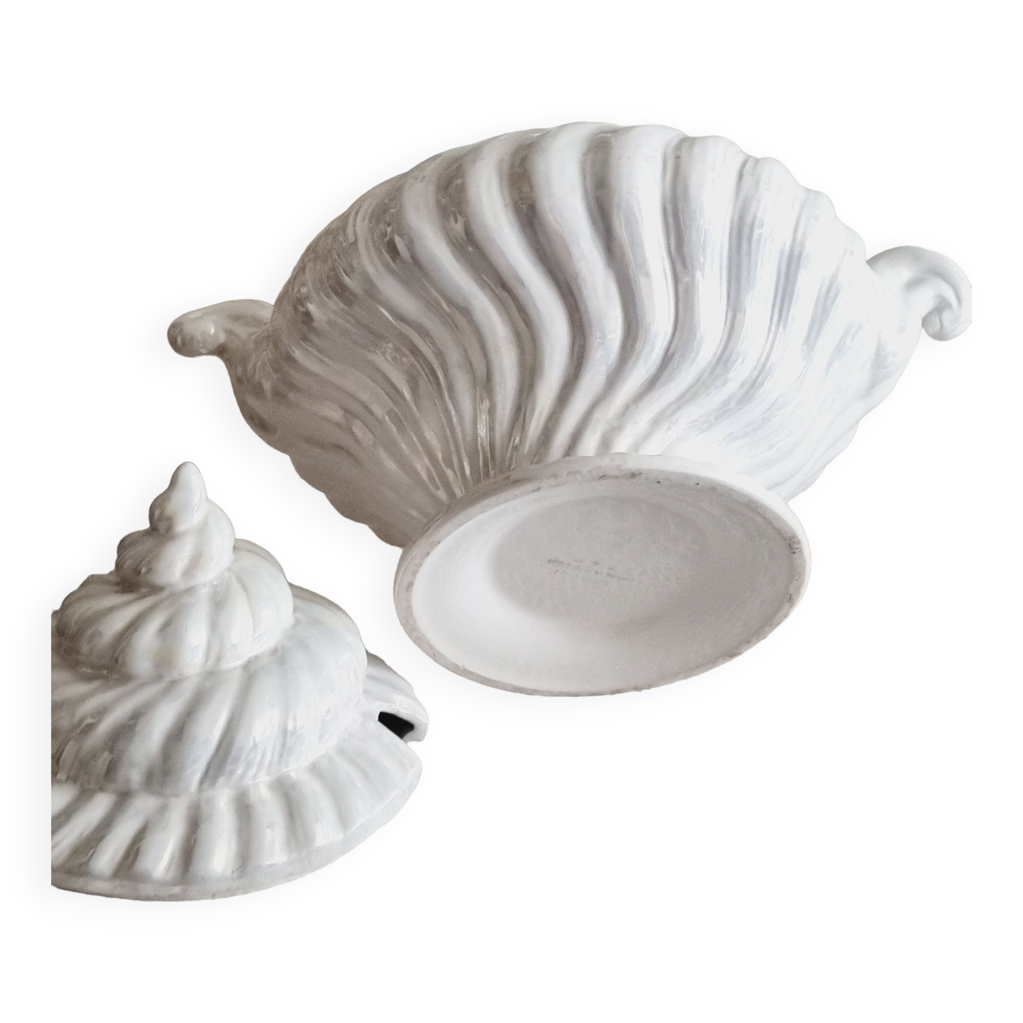 Shell tureen in slurry Portugal