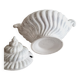 Shell tureen in slurry Portugal