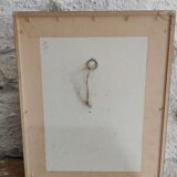 Framed botanical board