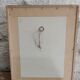 Framed botanical board