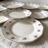 Digoin Sarreguemines dinner plates, floral