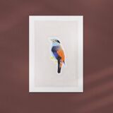 Bird "Eurylaine" - Original drawing
