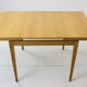 Mid-century Folding Table Czechoslovakia  ,1970's.