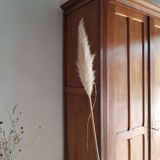 Old Parisian wardrobe