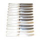 Set of 12 dessert knives stainless blades Adrien Bergeon goldsmith