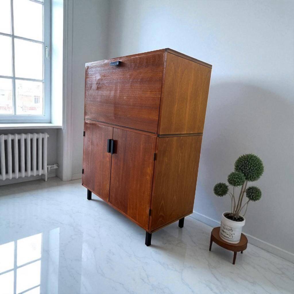 Armoire / secrétaire / meuble bar vintage Pastoe sur mesure