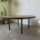 Capron “herbarium” coffee table with metal base