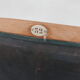 Paire de chaises de bureau pivotantes antiques 'Captain’s'