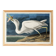 Poster about the Great Egret, based on an old engraving from 1827.