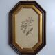 Old octagonal frame lithograph flower plant