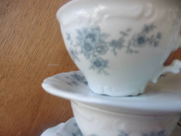 Service à café complet porcelaine de bavière germany winterling décor myosotis