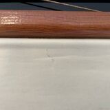 Zoological poster, cell of the animal body