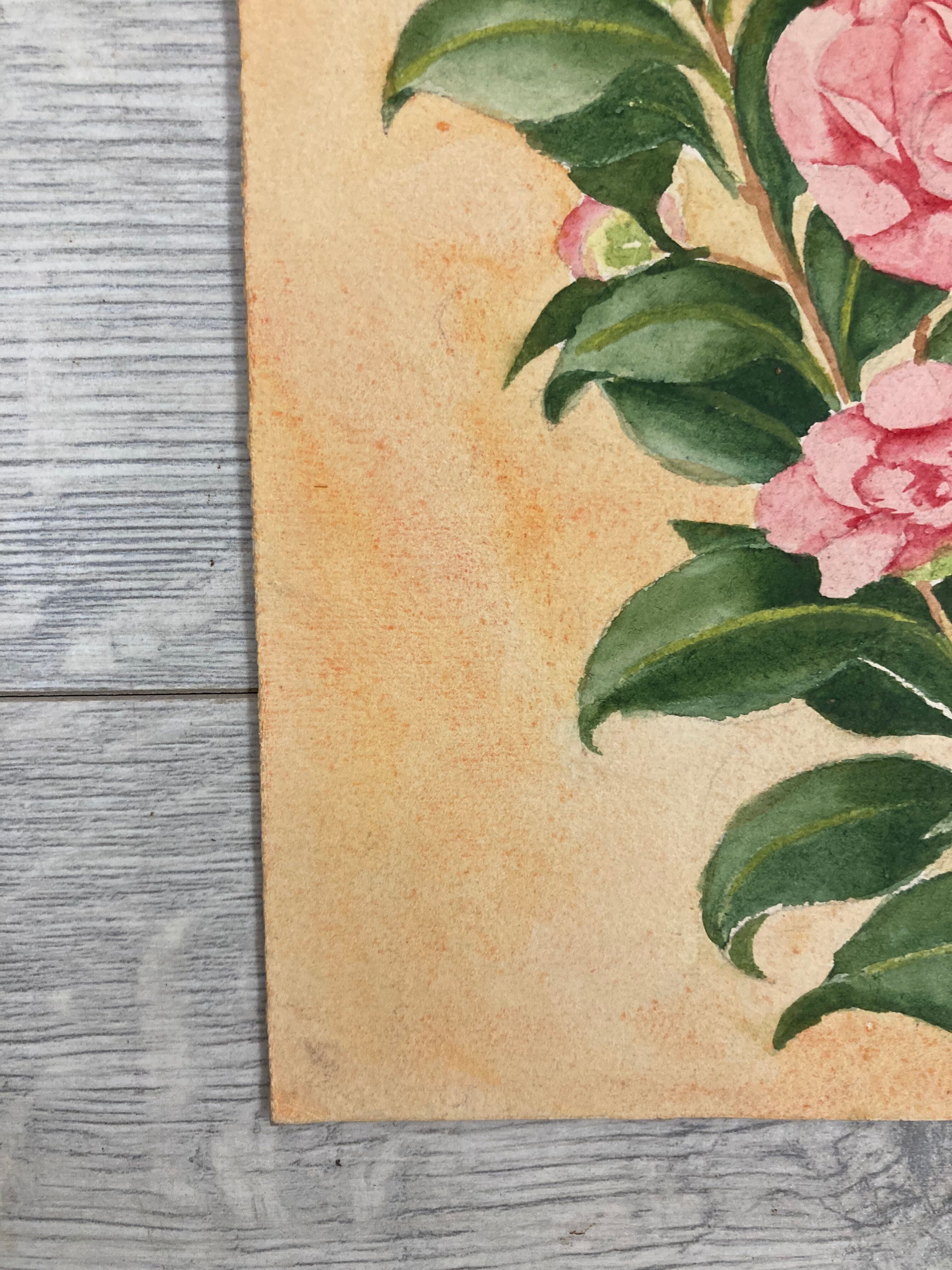 Aquarelle camélias vintage