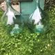 Demijohn round 50cm