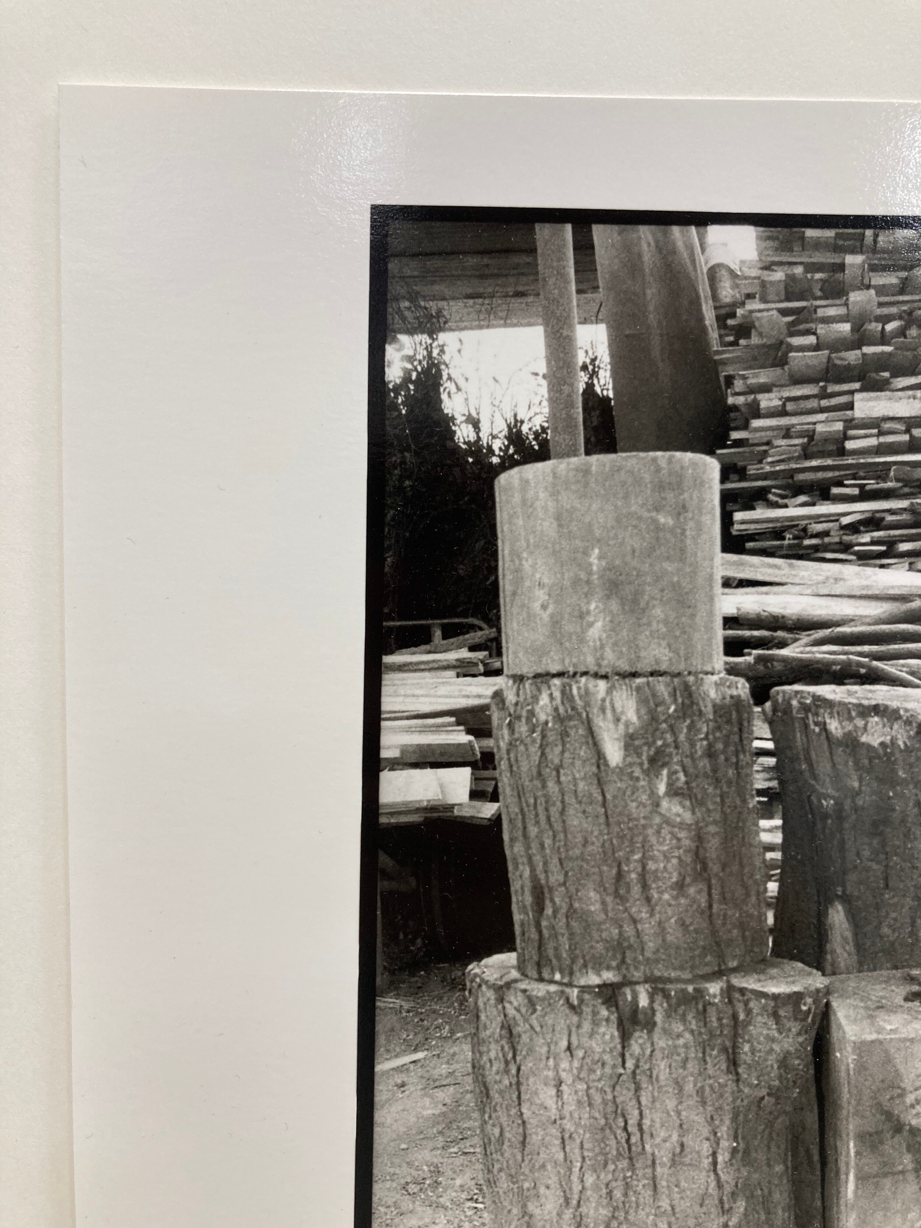 Photographie argentique d'artiste