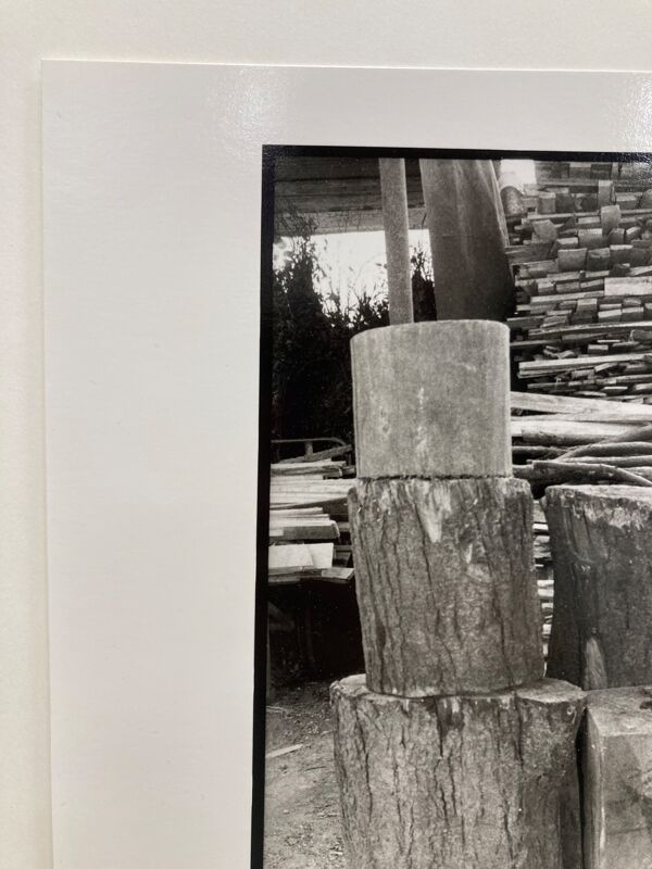 Photographie argentique d'artiste