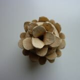 Pique flowers