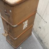 Old trunk