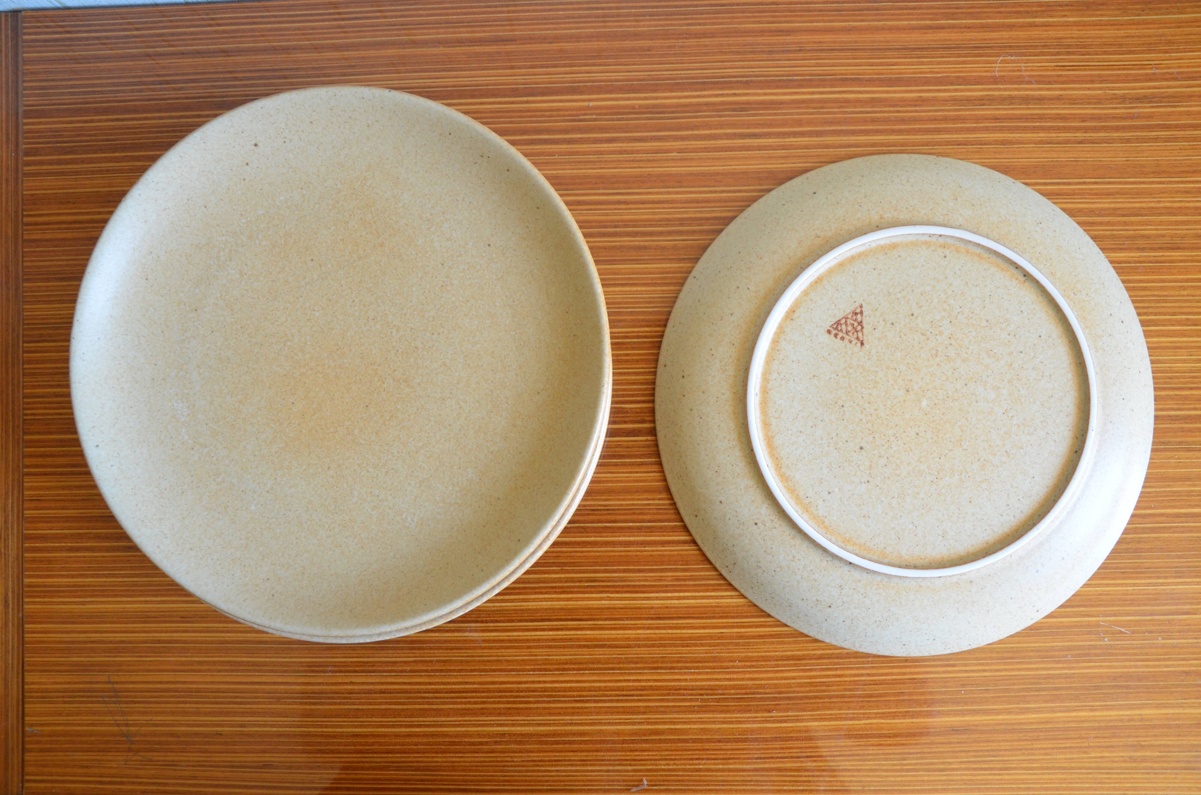 Lot de 5 assiettes plates en grès