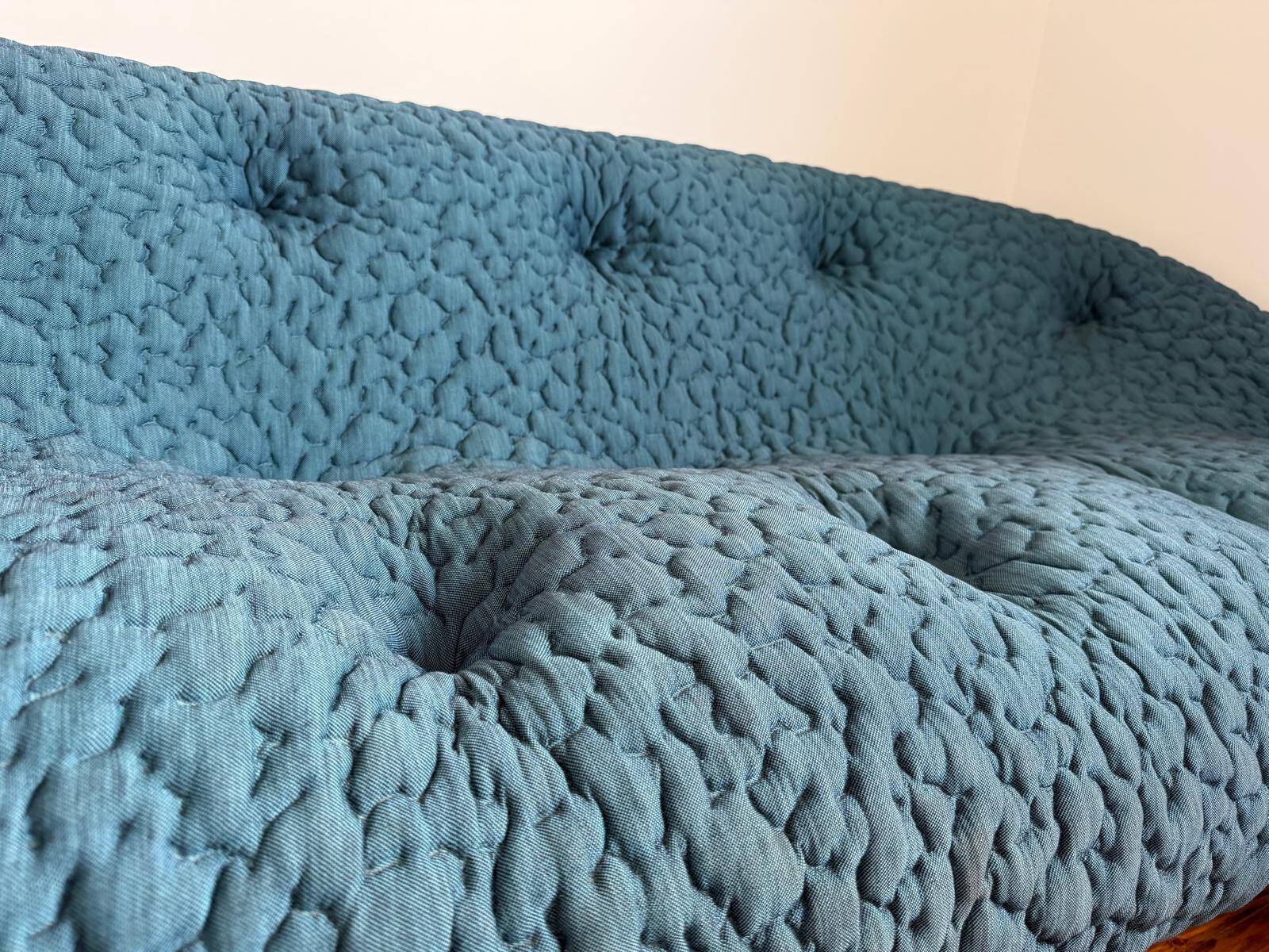 Ligne Roset Ploum Medium Low Sofa