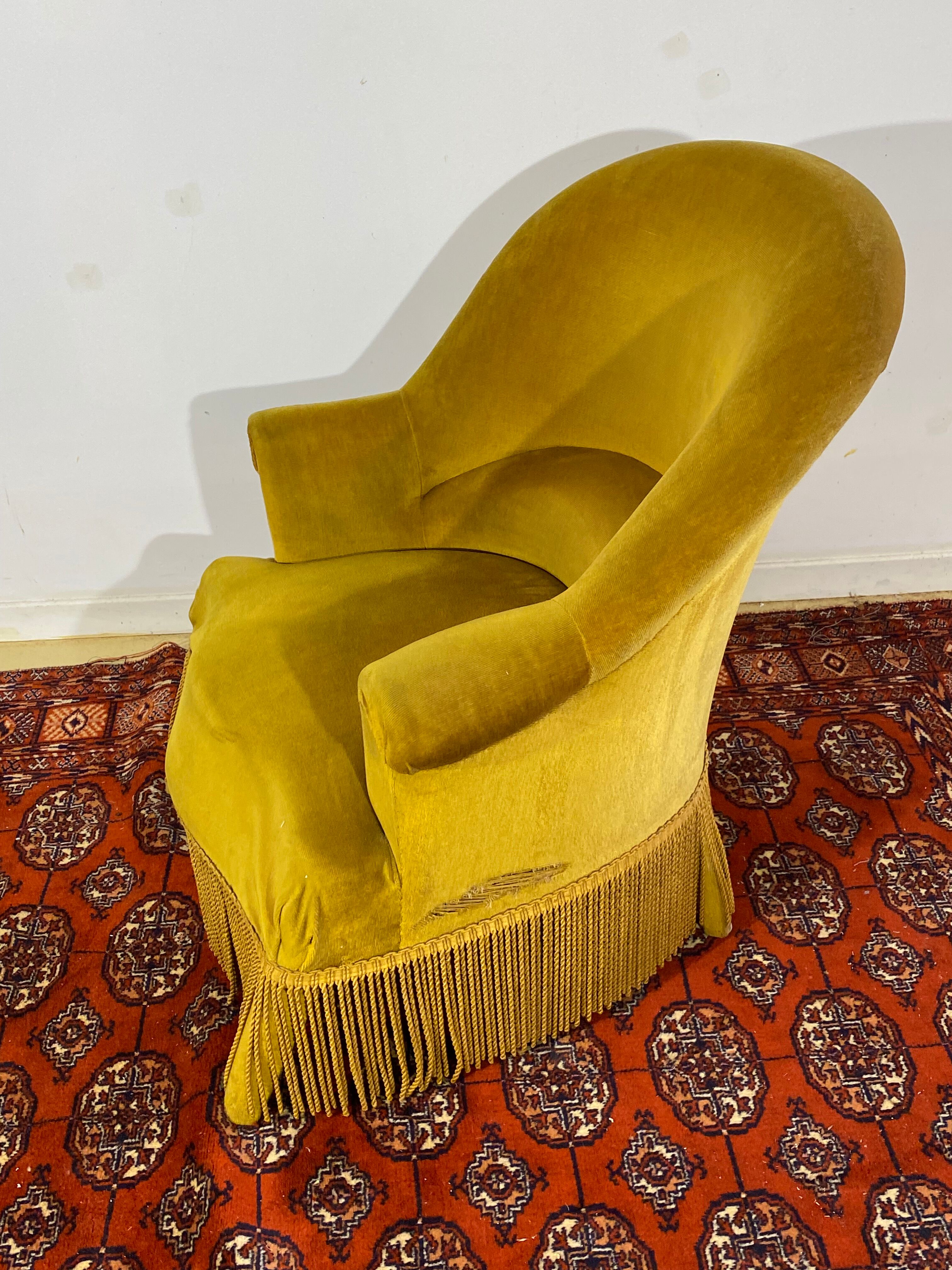 Toad armchair style Napoleon III Mustard