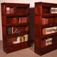 Pair of Globe Wernicke mahogany bookcases circa 1900