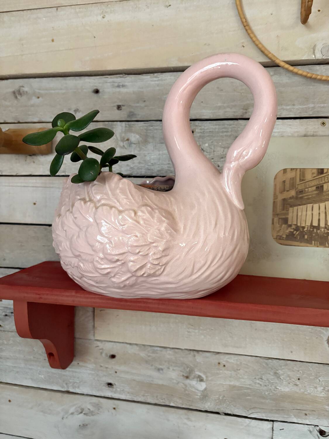 Bubble-gum pink wooden shelf