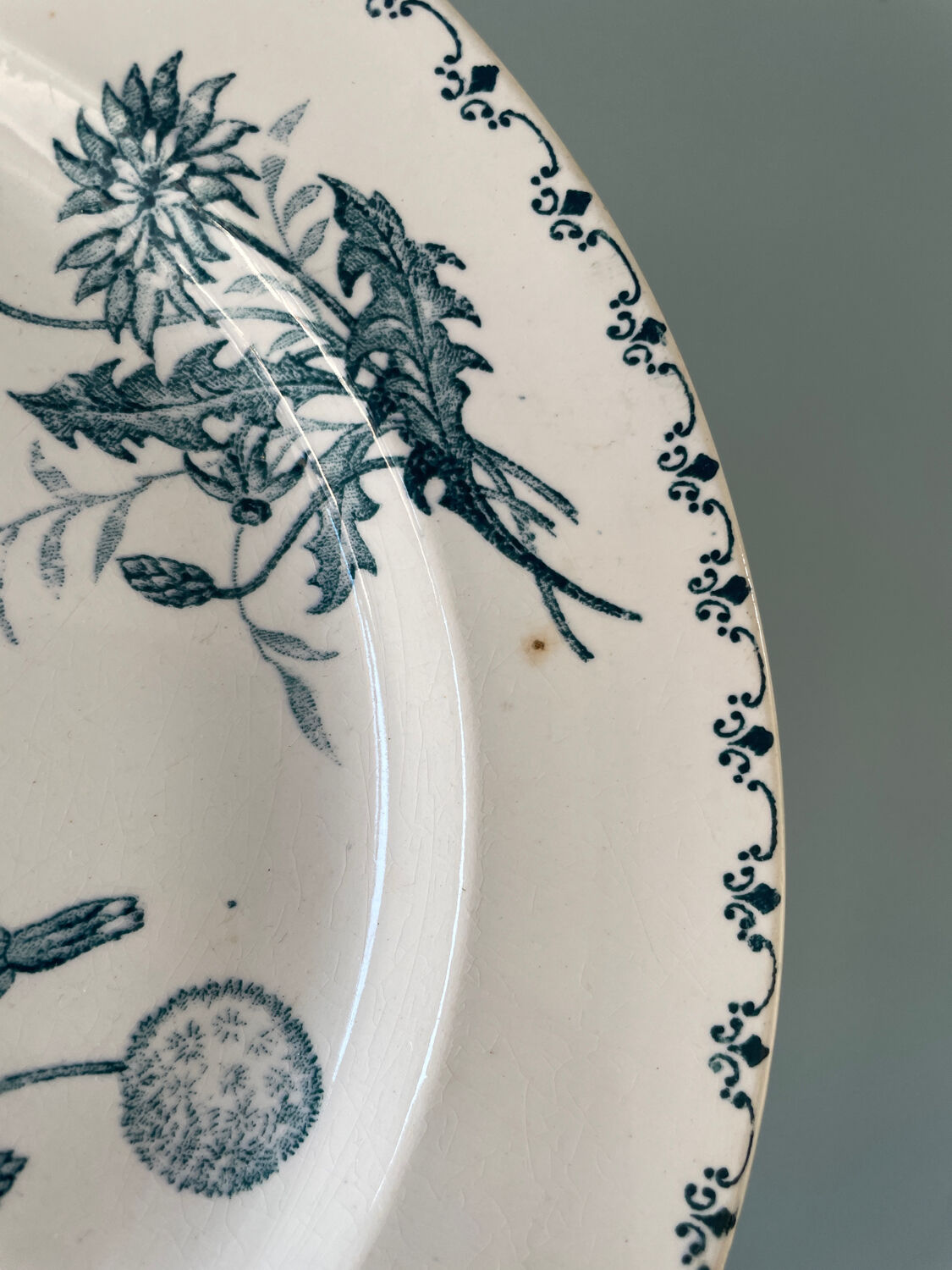 Set of 7 flat plates Terre de Fer XIXth "Madrid"