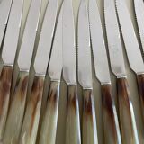 Set of 12 vintage stainless steel knives