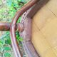 Banquette Thonet