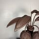 Pencil reed rattan bamboo palm tree coconut table lamp Maro Lopez style 70s