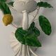 Pair of Italian metal lemon sconces, Firenze House, 1970