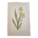 La Roche Laffitte (Born in 1943) - Watercolour drawing on silk - Yellow iris