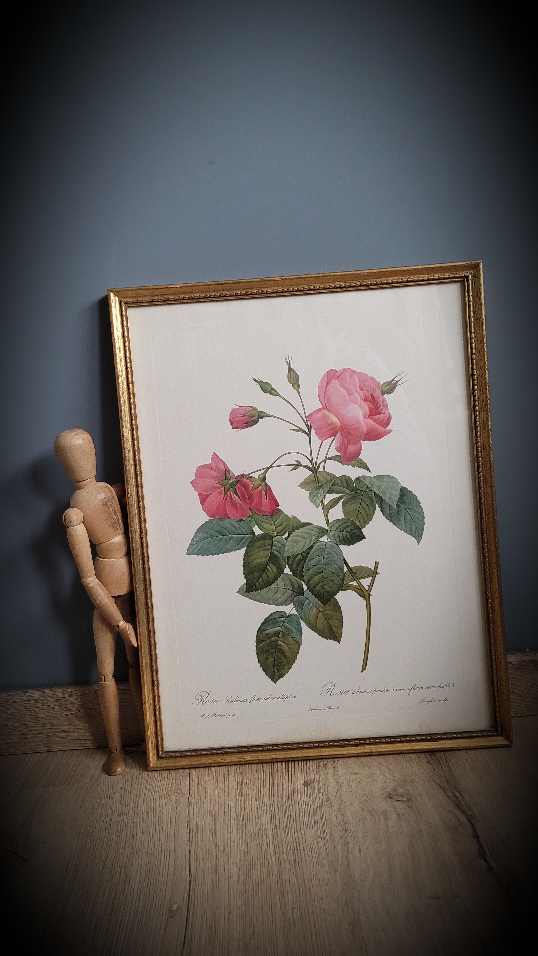 Lithograph frame rose semi double leaning buttons 43