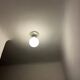 antique ceiling light