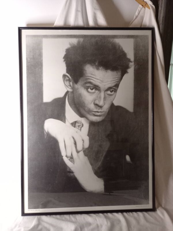 Portrait d'Egon Shiele,1914, photo d'Anton-Josef Trcka, affiche encadrée