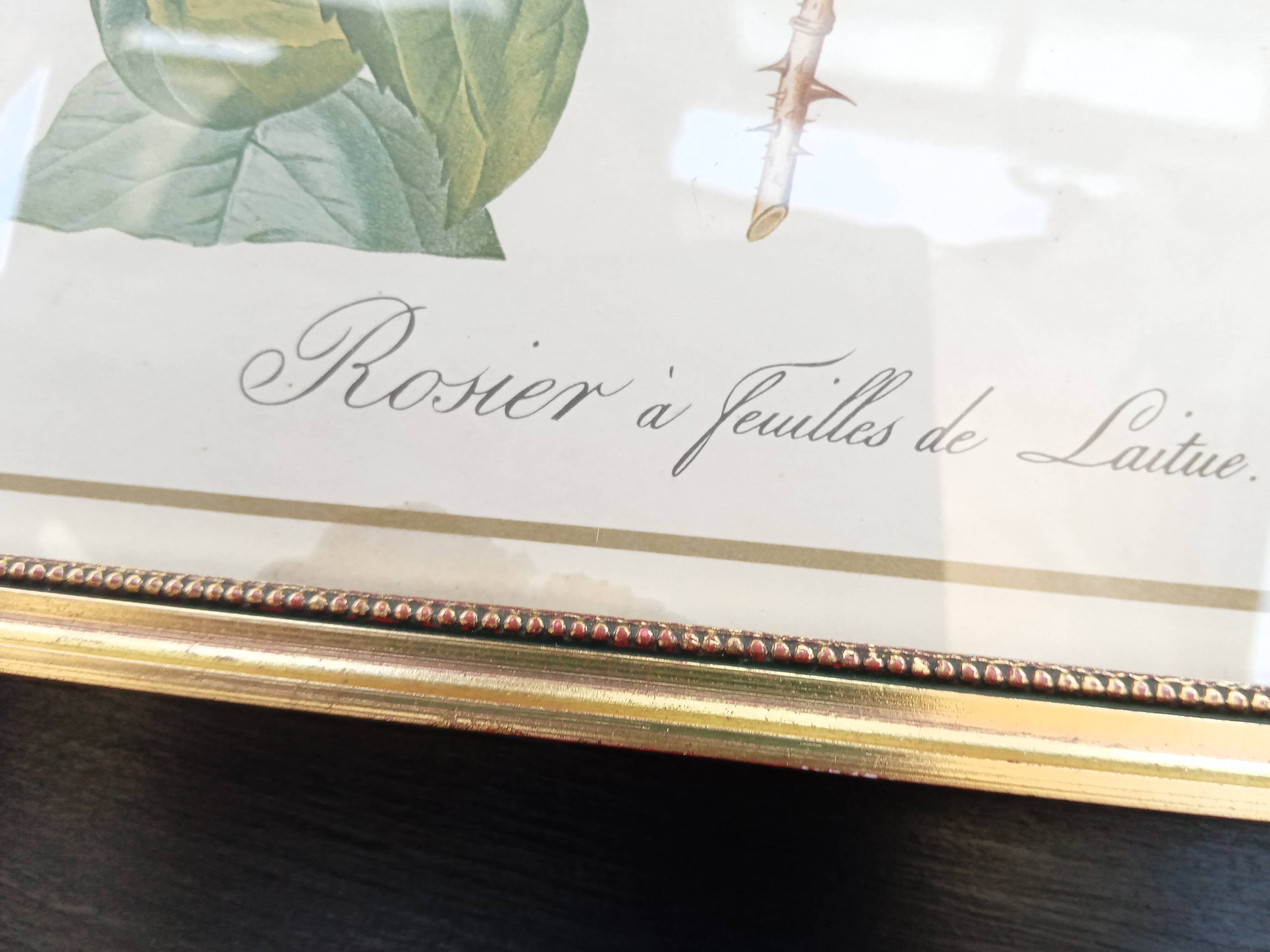 Redouté botanical board