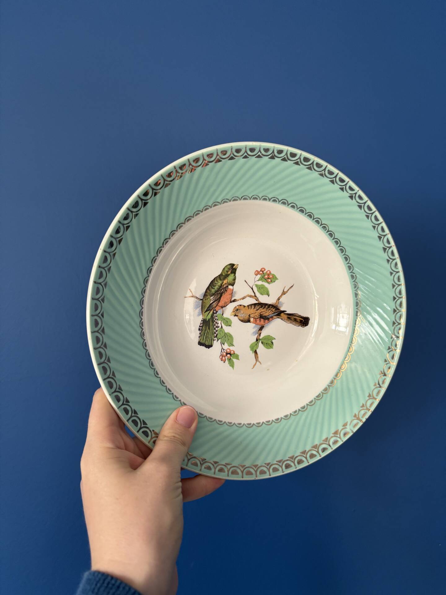 Set of 4 vintage deep plates in earthenware • Bird and leaf decoration