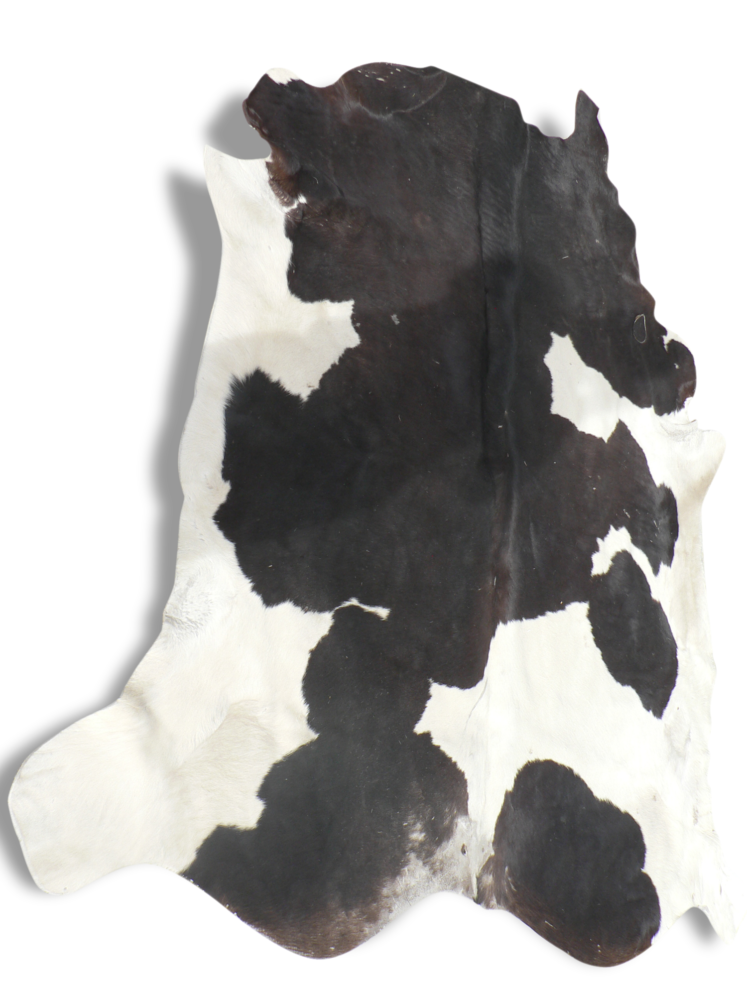 Rug cow skin, 215 x 195