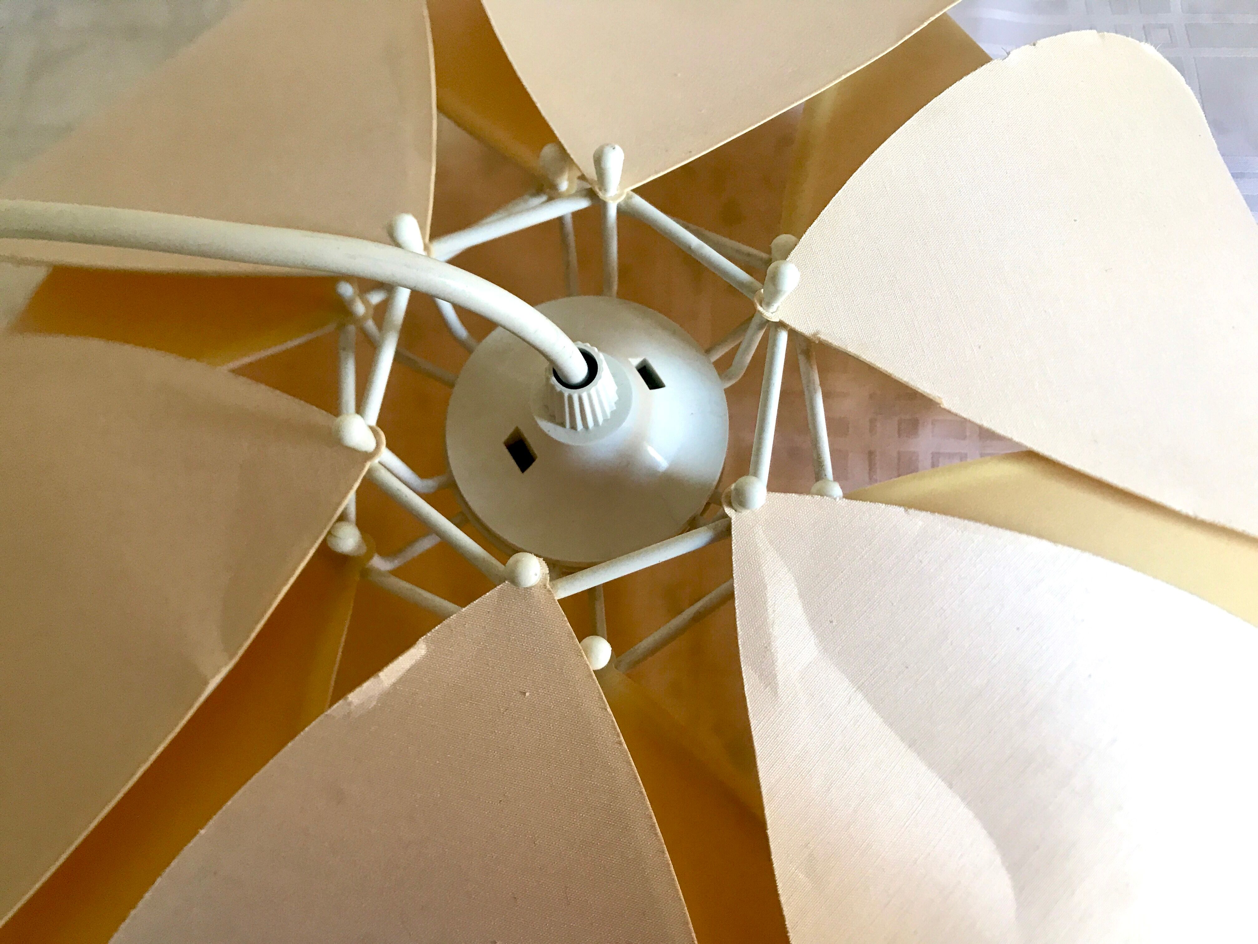 Suspension flower petals