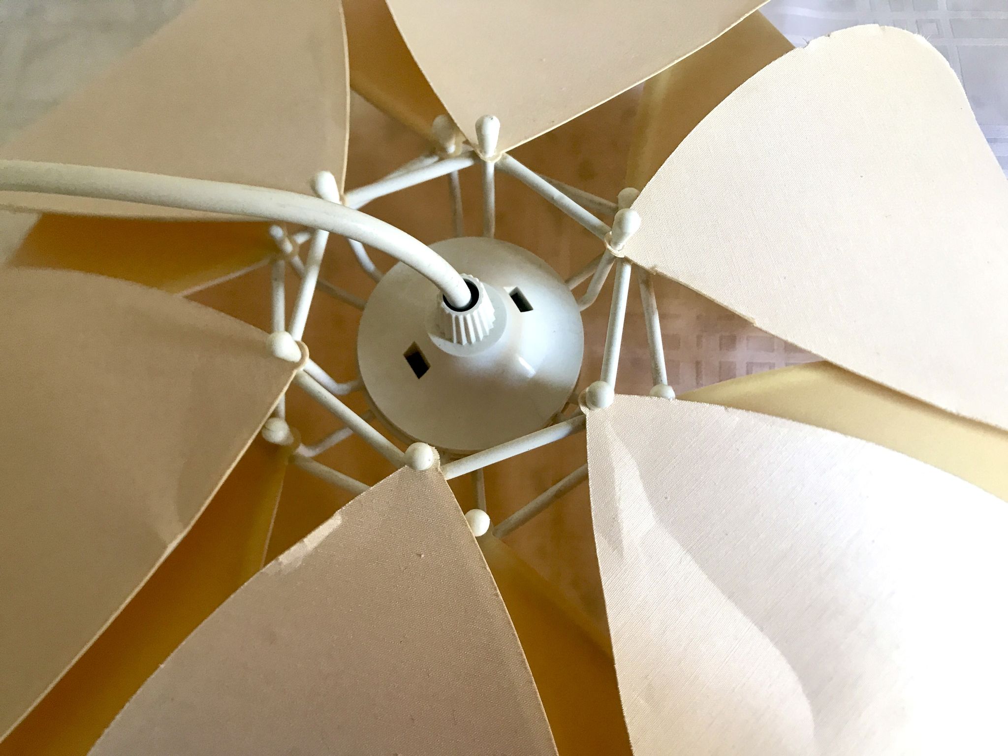 Suspension flower petals