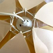 Suspension flower petals
